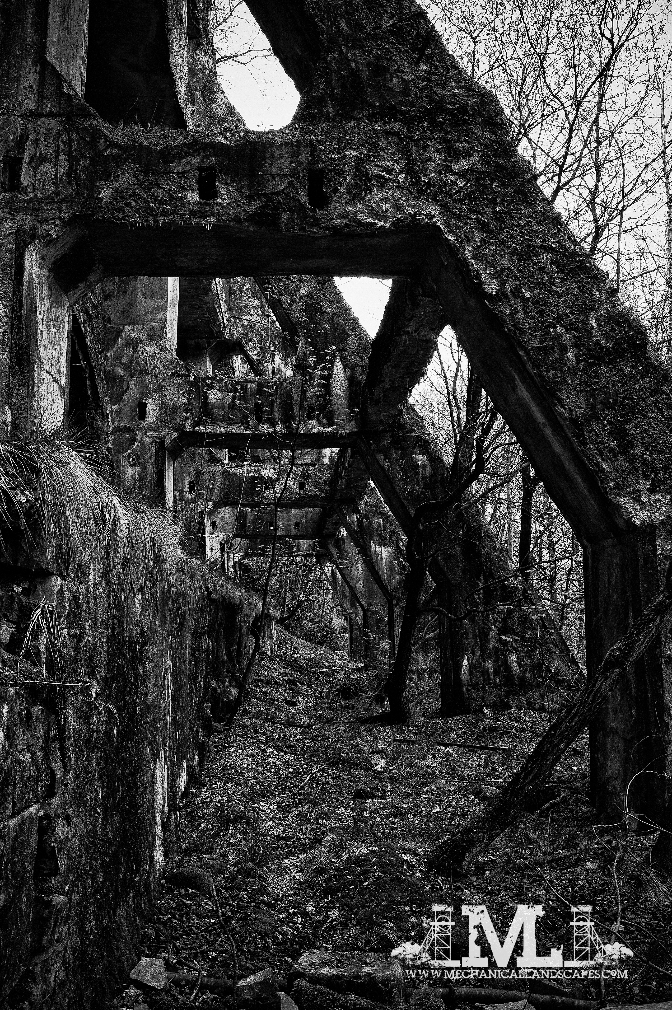 DSC_5121bw-2-2-2.jpg