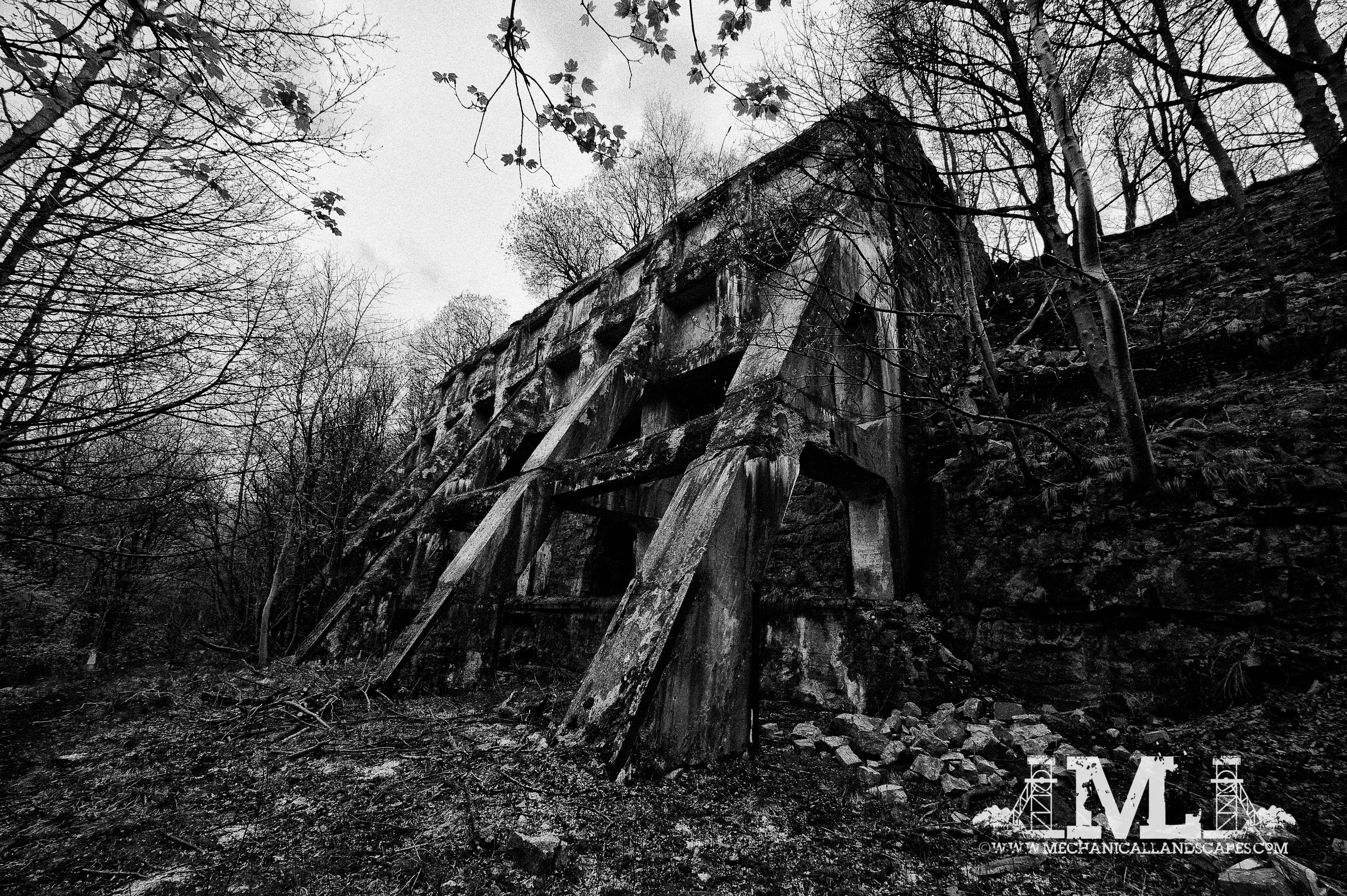 DSC_5140-Edit-2-2-2-2.jpg