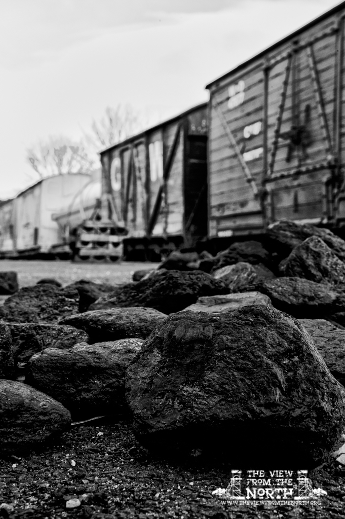 DSC_8013-Edit