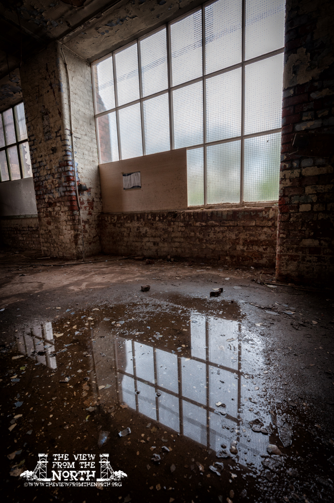 DSC_8170-Edit