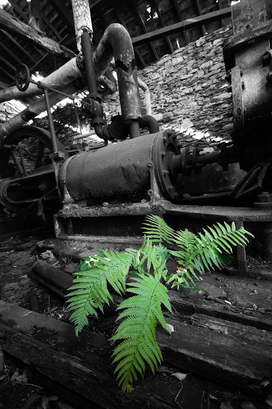 Natural Decay