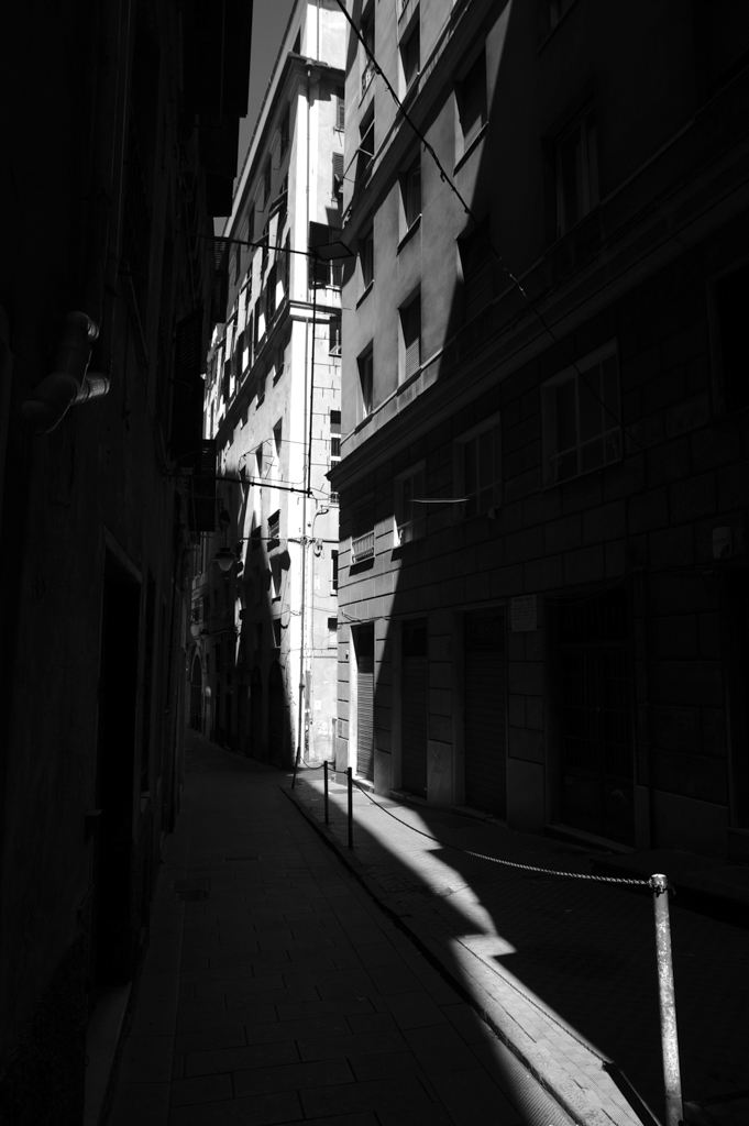 DSC_2264.jpg