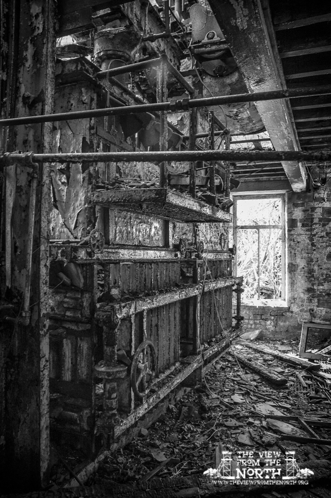 DSC_7275-Edit.jpg