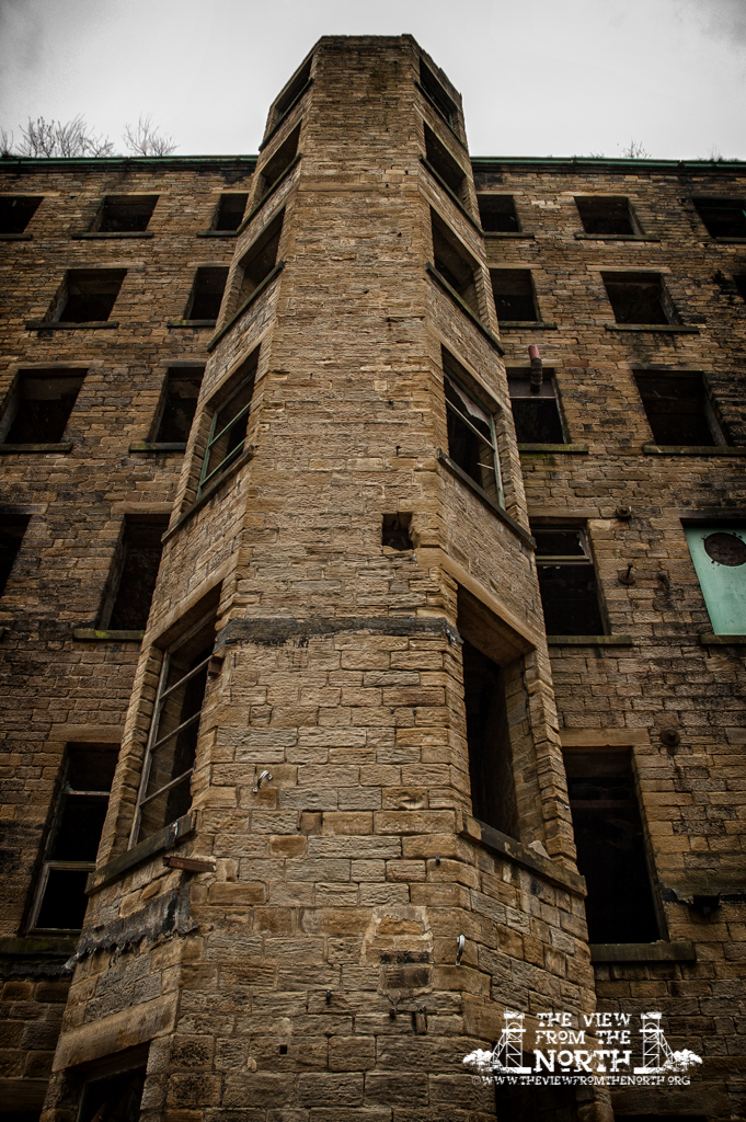 DSC_7546-Edit.jpg