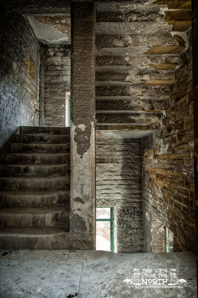 DSC_7565-Edit.jpg