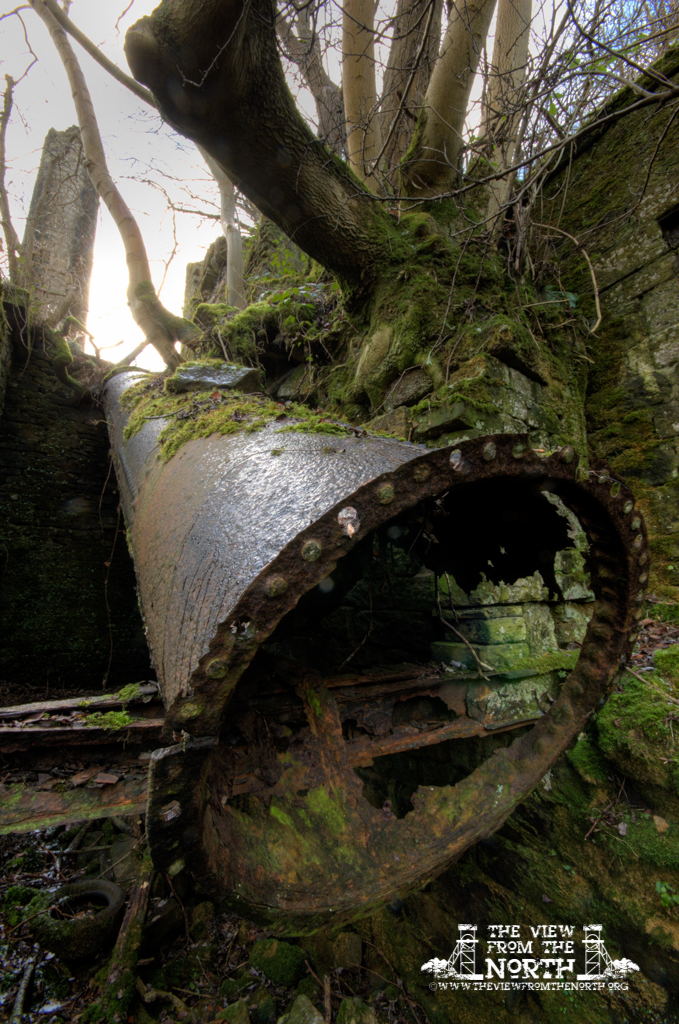 DSC_0339_7_8_tonemapped