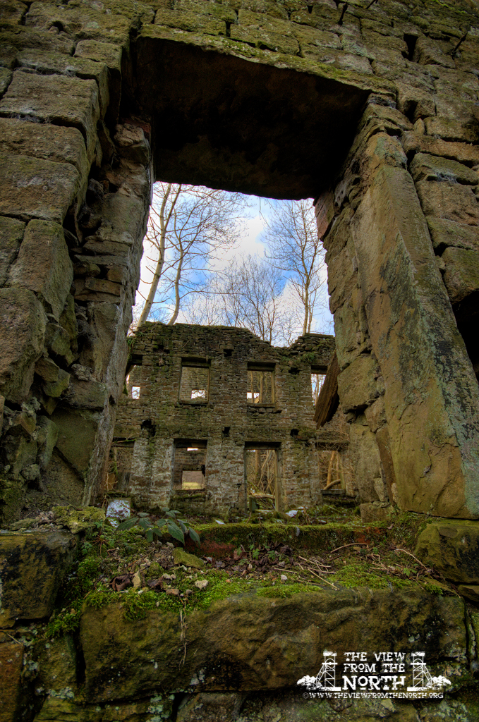 DSC_0342_0_1_tonemapped