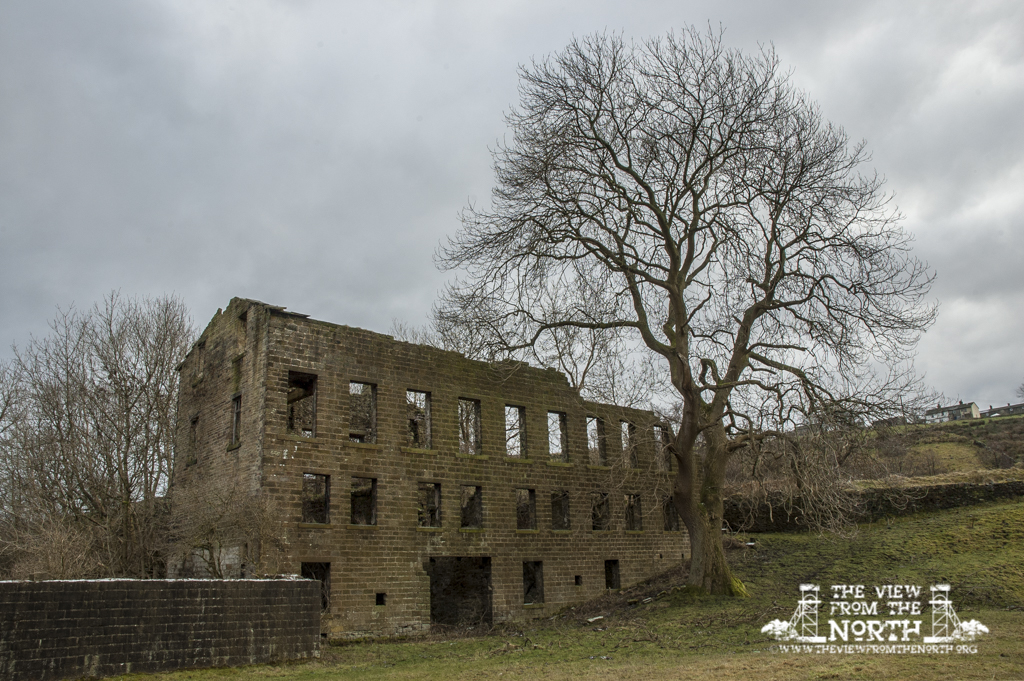 DSC_0396-HDR.jpg
