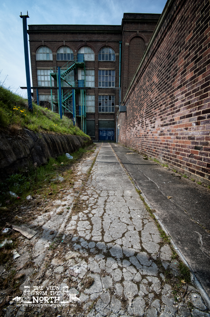 DSC_3175-Edit.jpg