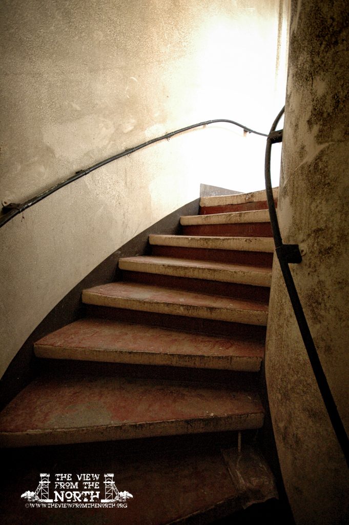 DSC_3210-Edit-Edit.jpg