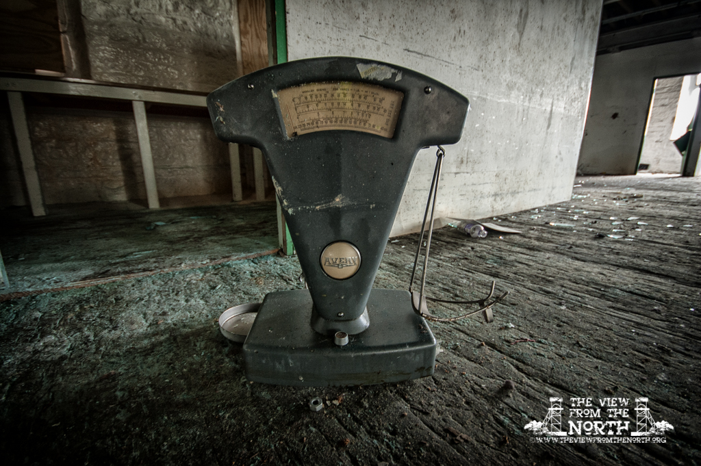 DSC_4765-Edit.jpg