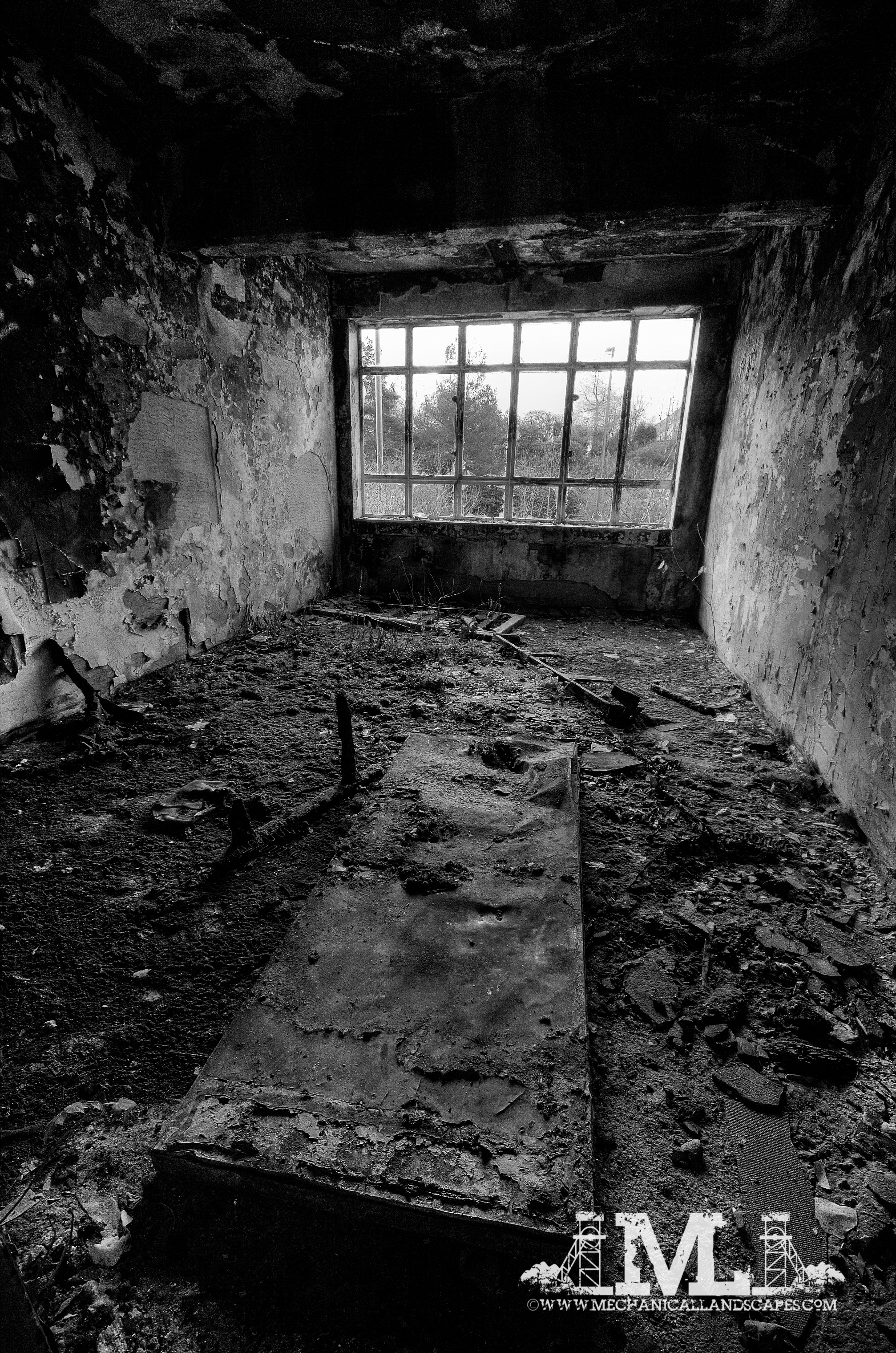 DSC_0257_5_6_tonemapped bw-2.jpg