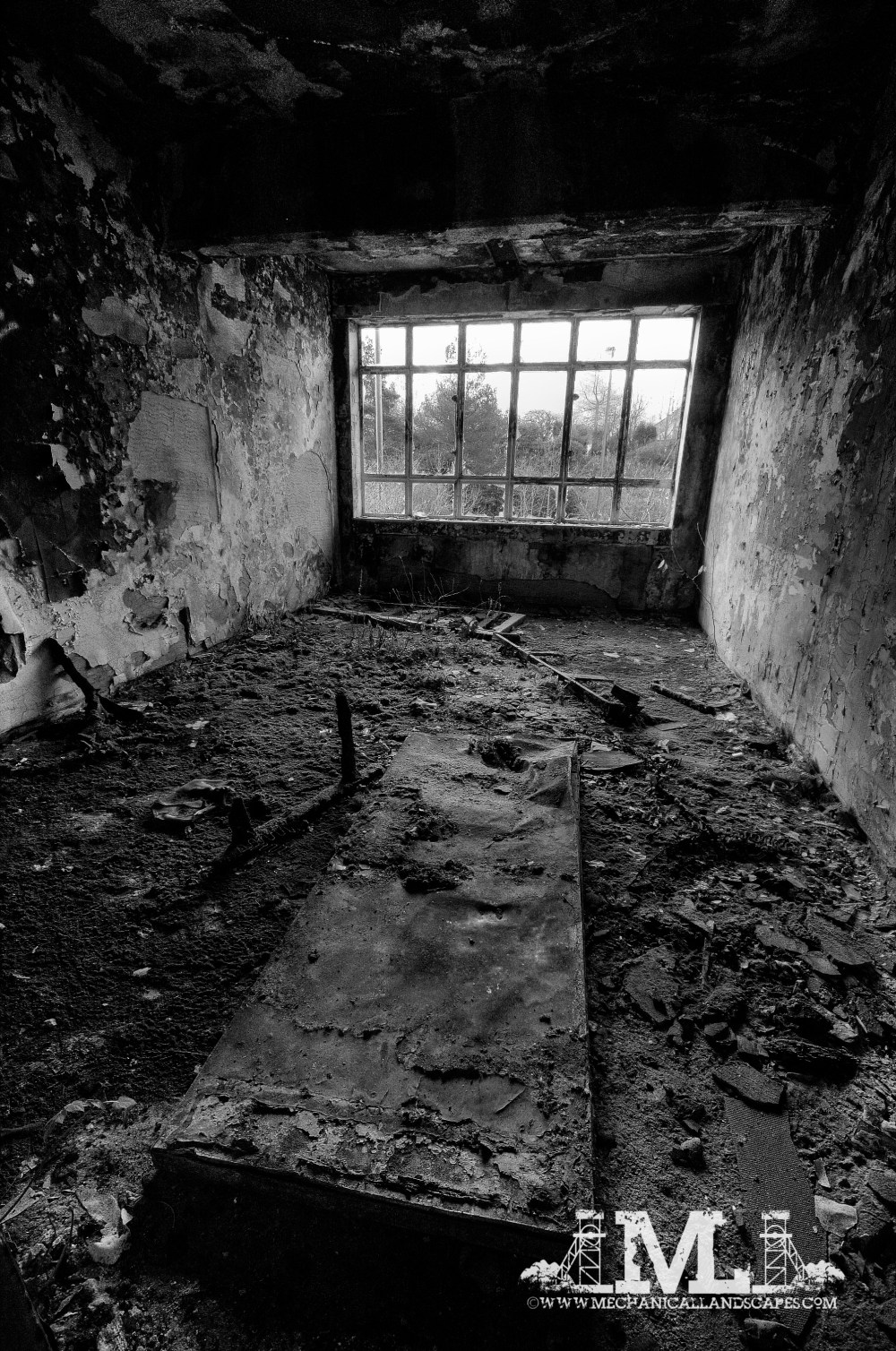 DSC_0257_5_6_tonemapped bw-2