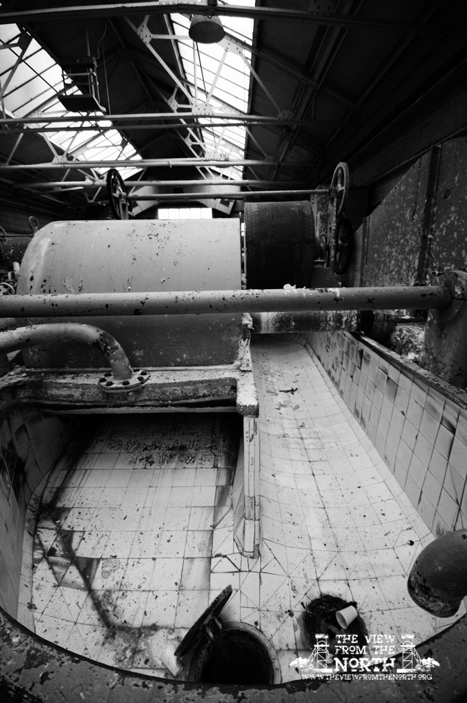 DSC_6143bw.jpg