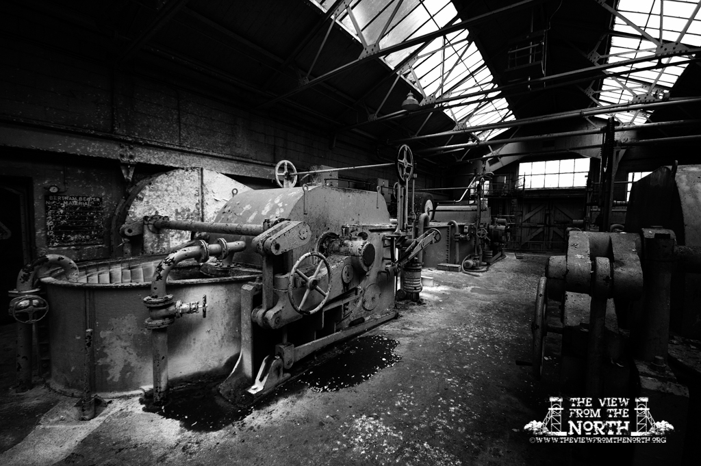 DSC_6144bw.jpg