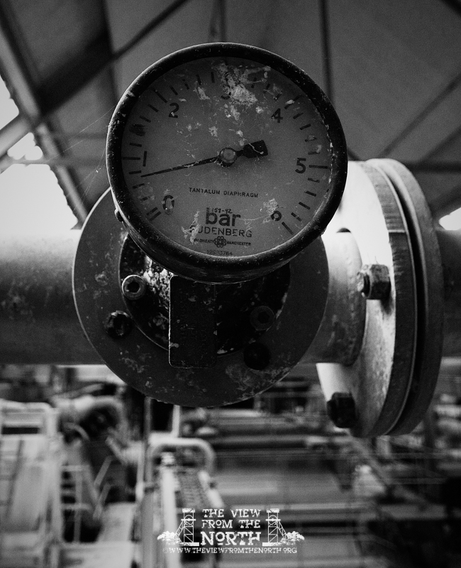 DSC_6159bw.jpg