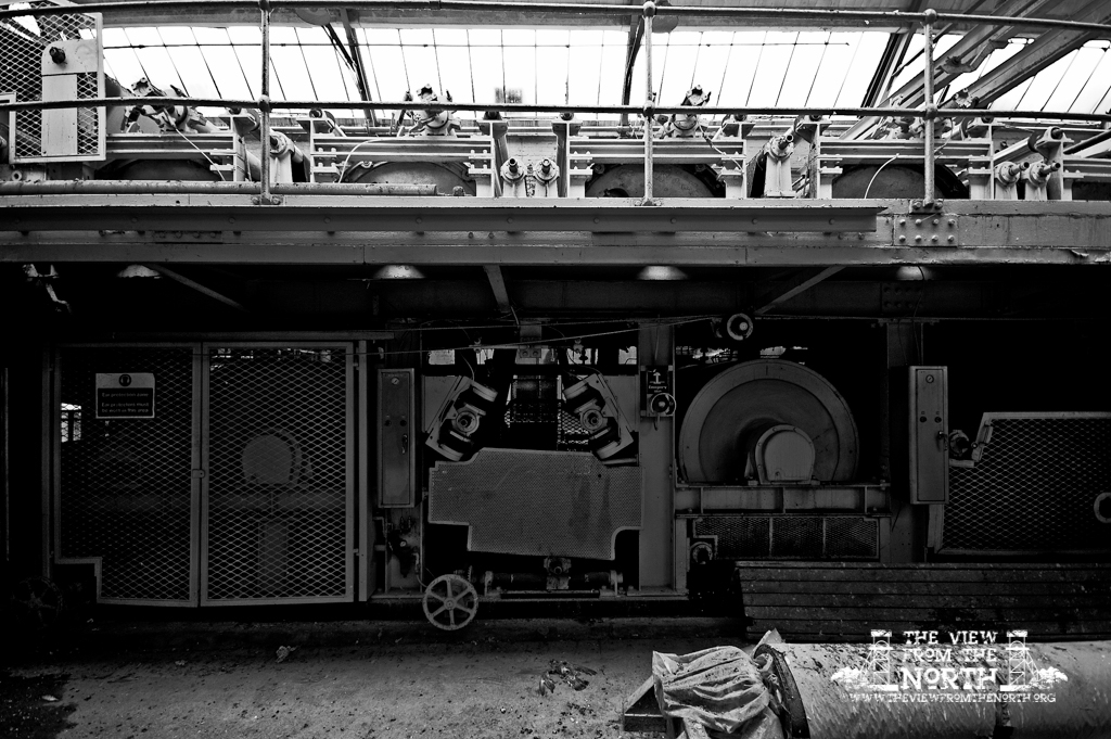 DSC_6166bw.jpg