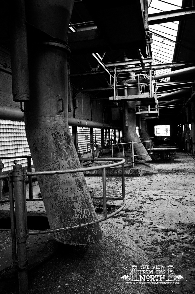 DSC_6170bw.jpg