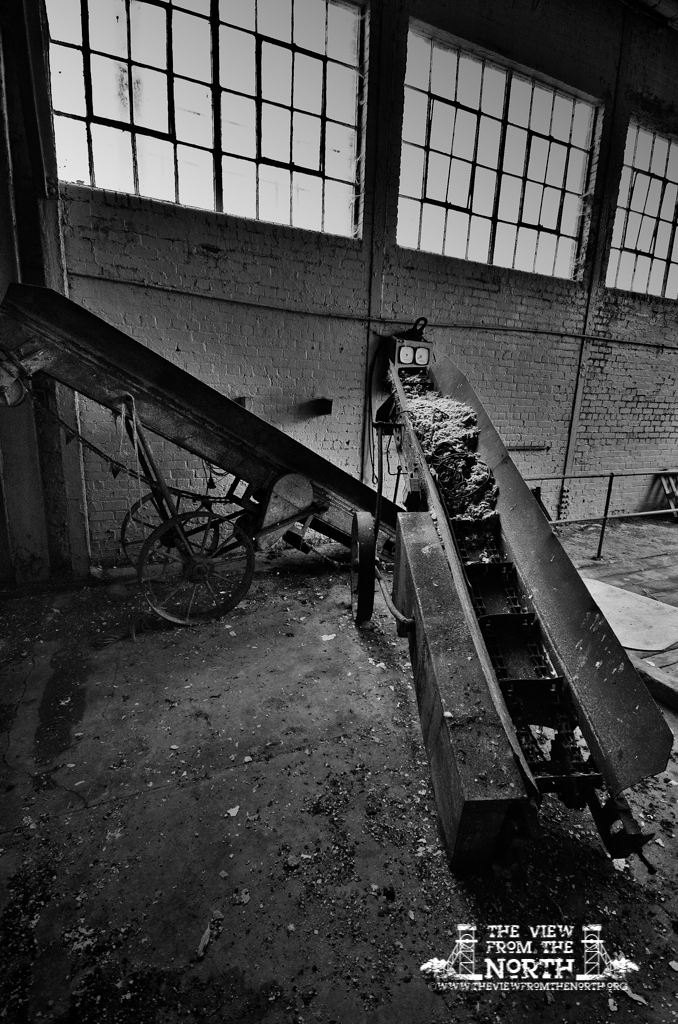 DSC_6192bw