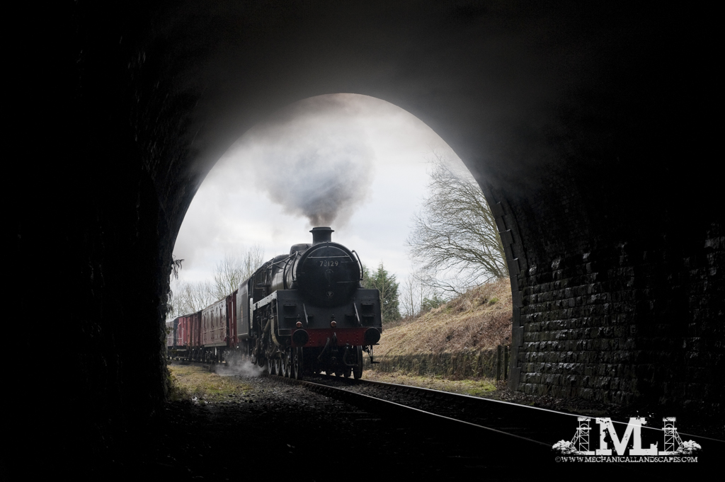DSC_7287-Edit.jpg