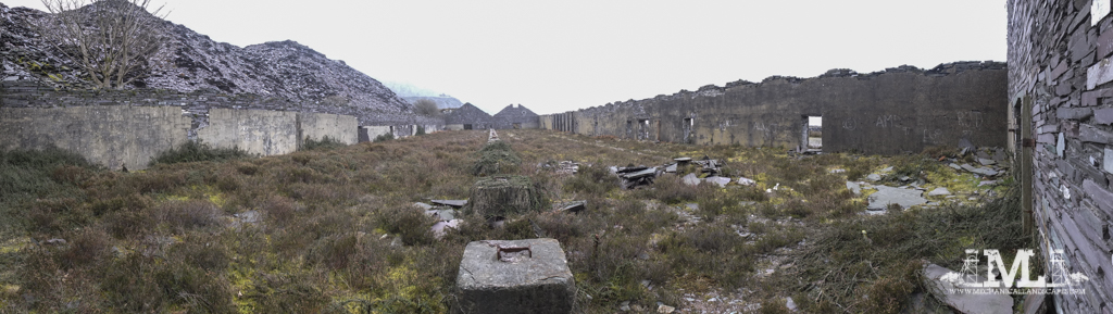 DSCF4183.jpg