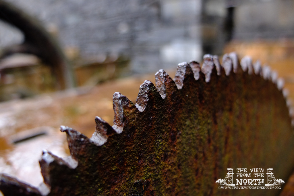 DSCF4224-3.jpg