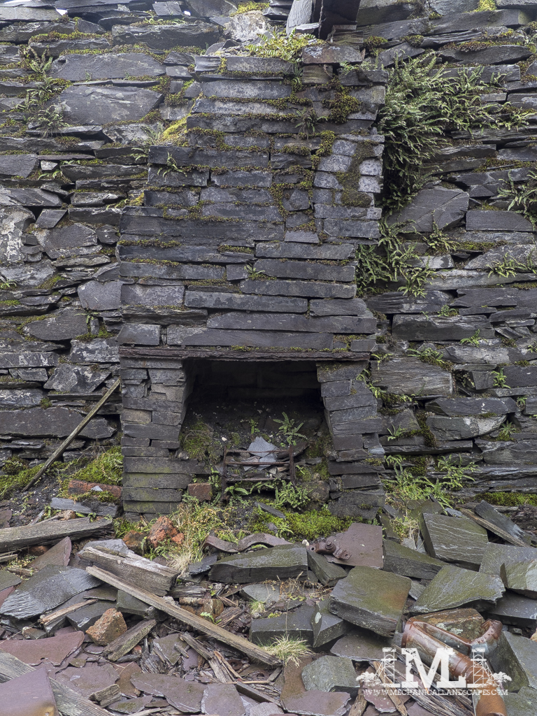DSCF4229.jpg