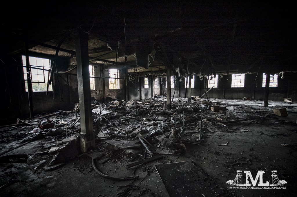 DSC_5565-Edit.jpg