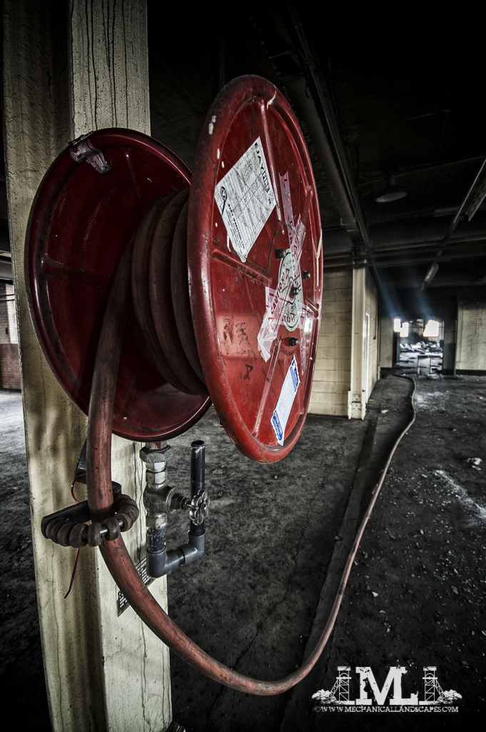 DSC_5569-Edit.jpg