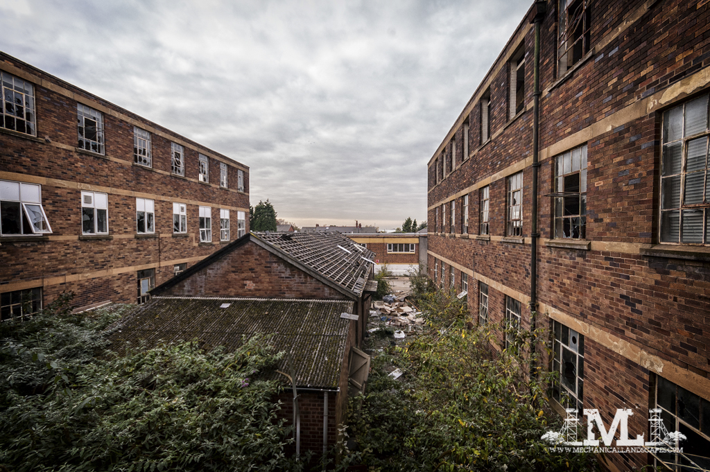 DSC_5575-Edit.jpg