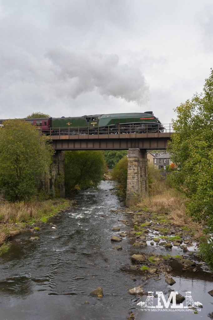 DSC_4877.jpg