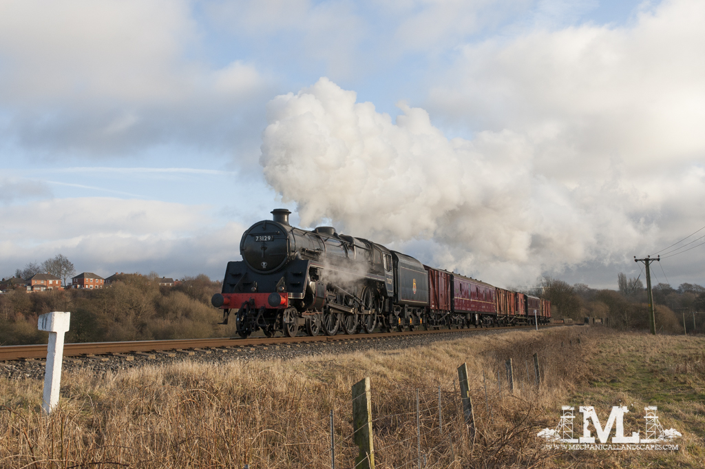 DSC_7611.jpg