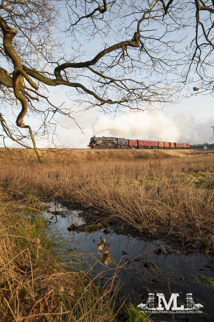 #161 – 73129 at&nbsp;Burrs