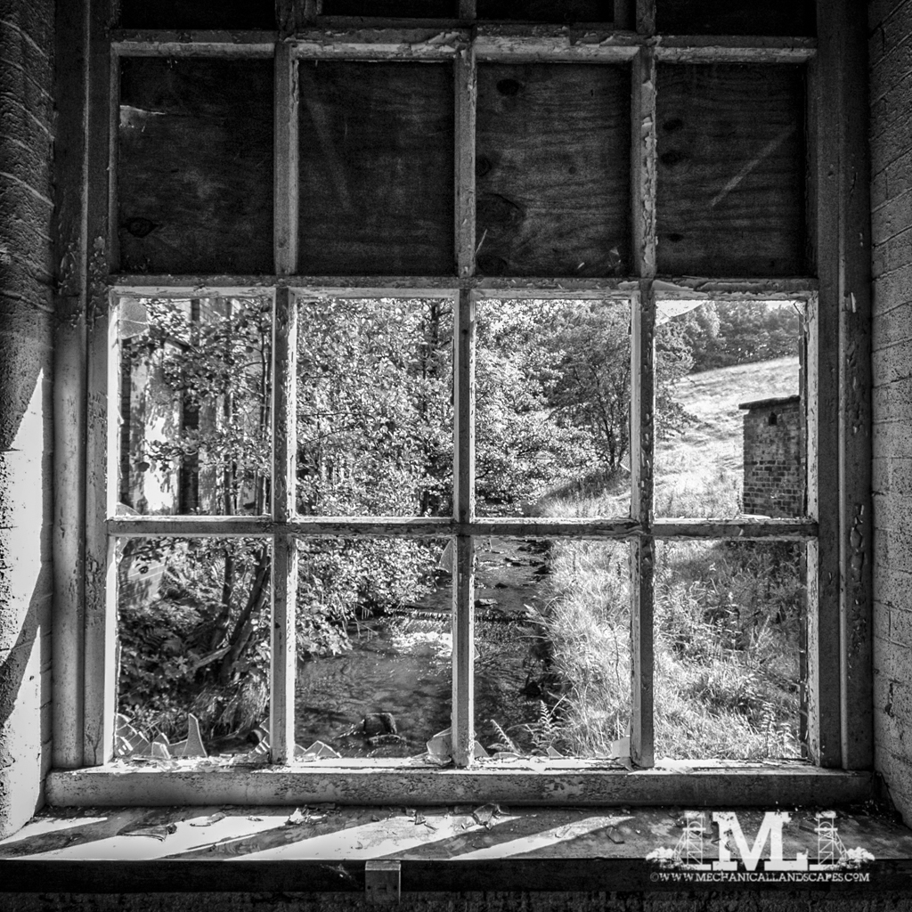 DSC_8364-Edit