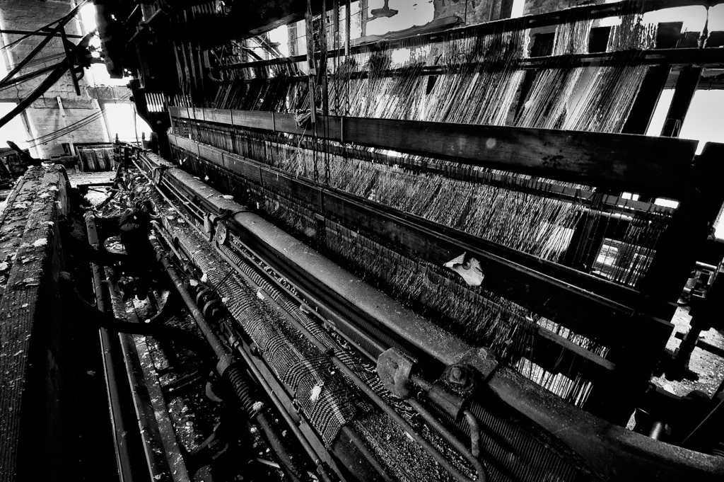 B (DSC_4047-Edit)