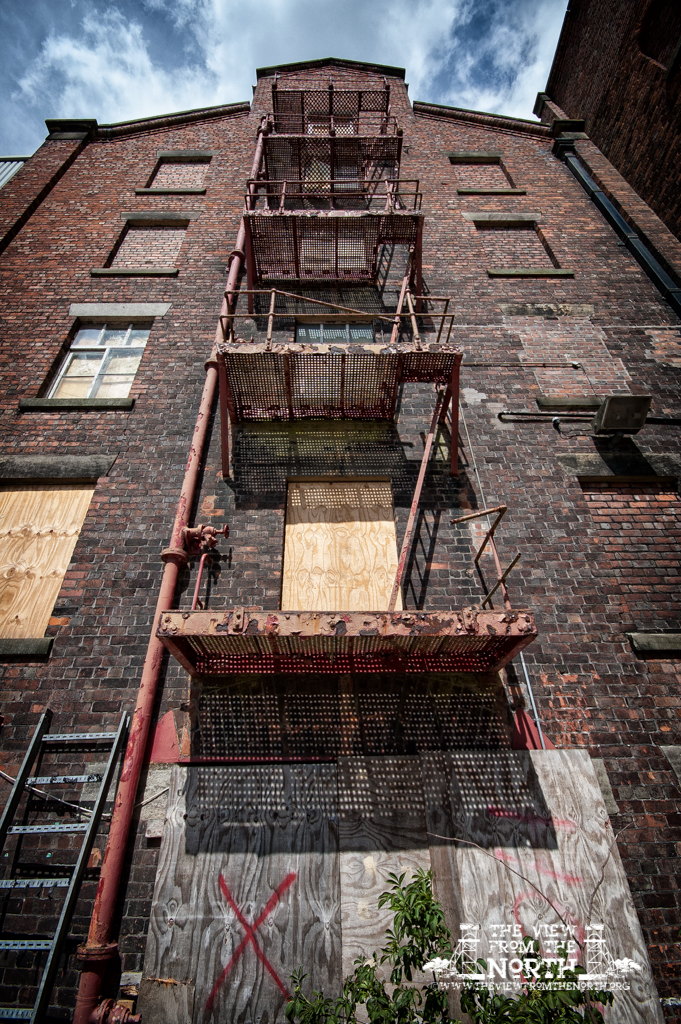 DSC_3659-Edit