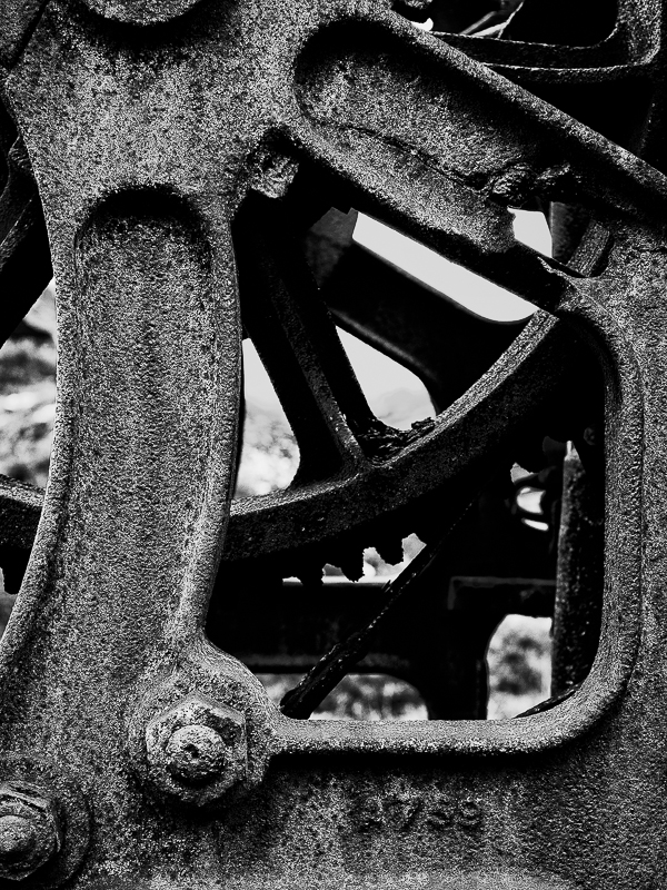 DSC_4796-Edit