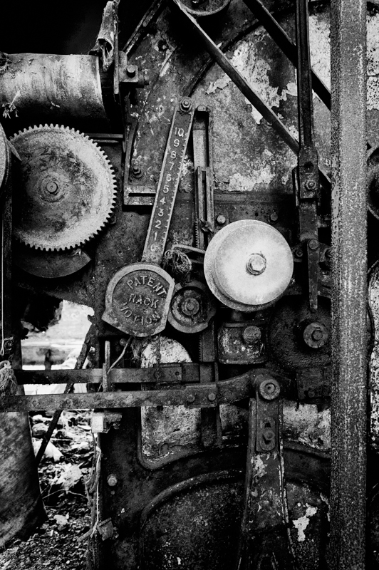 DSC_7295-Edit-2