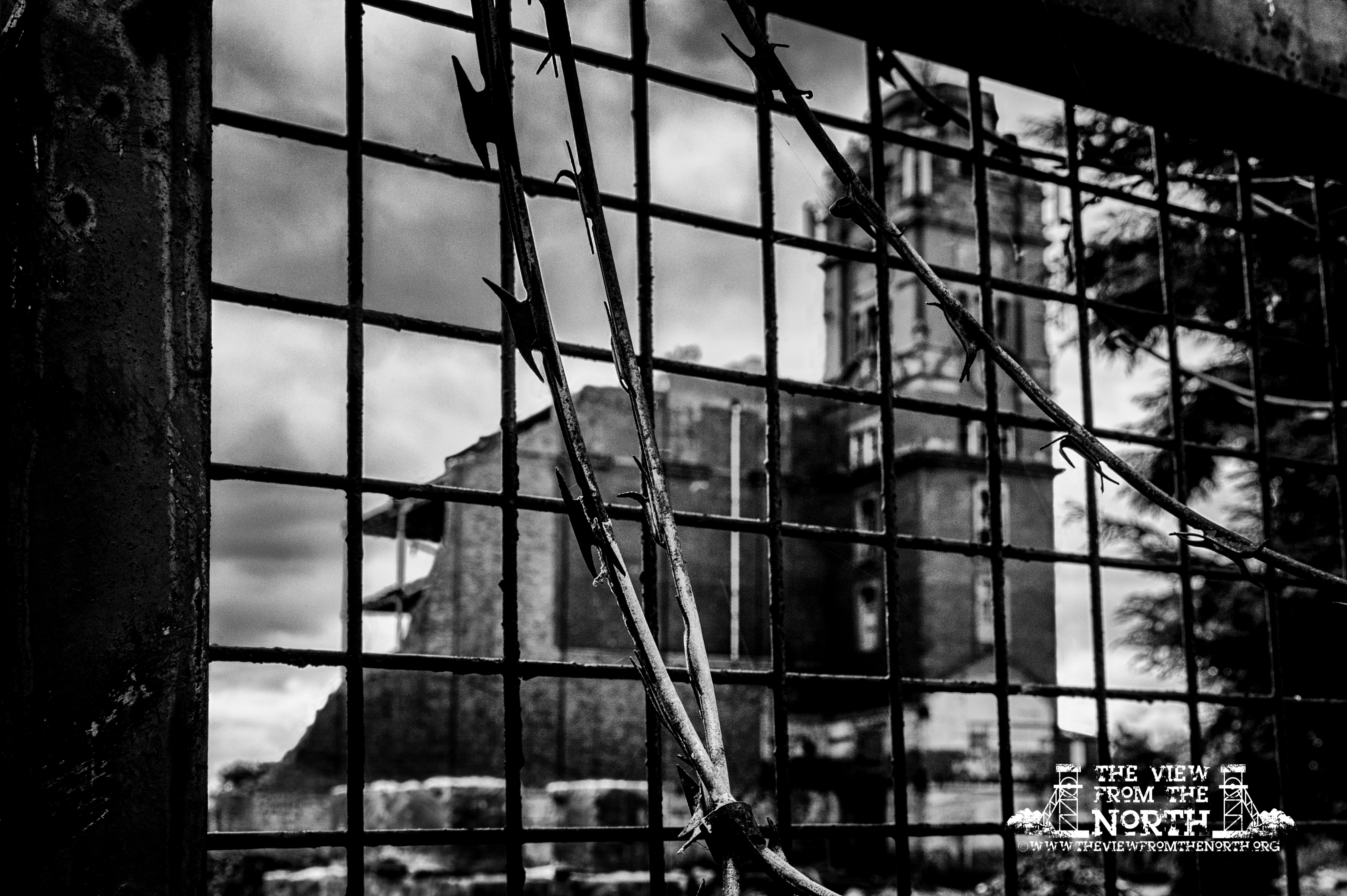 dsc_3252-edit-a