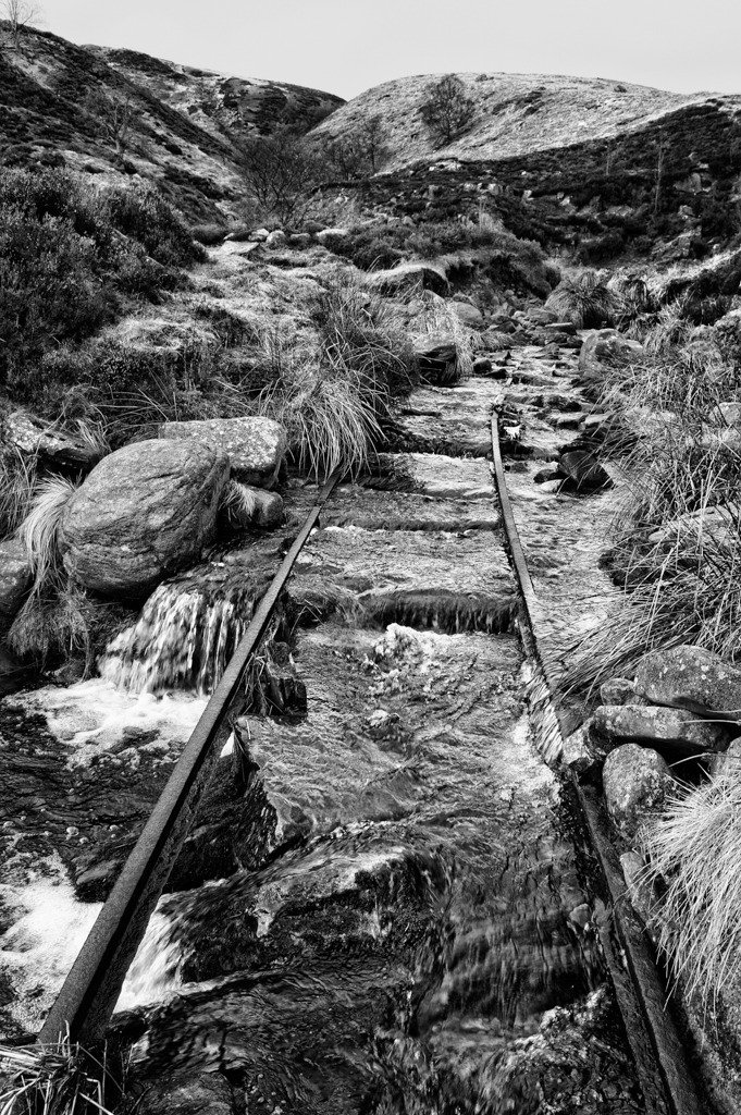 DSC_4776-Edit Print-2