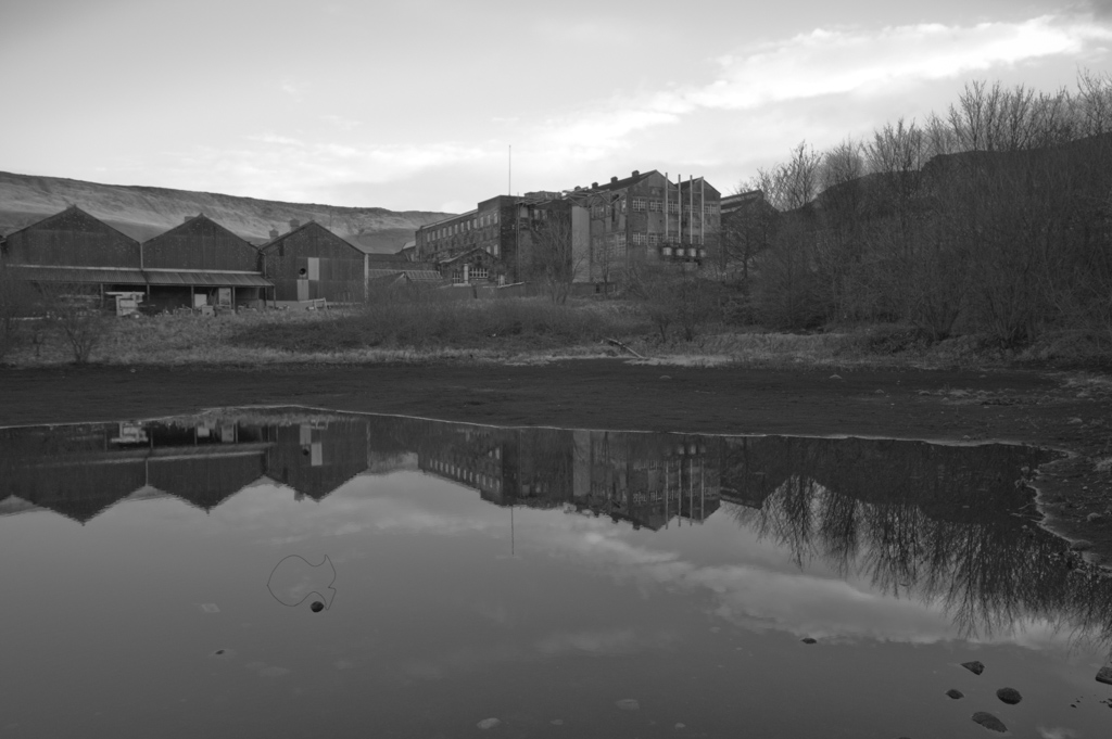DSC_6226