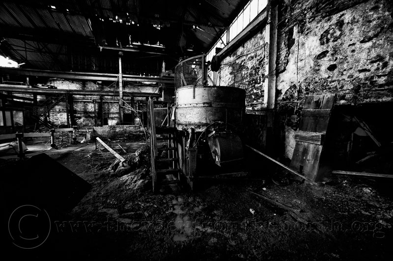 DSC_5555-Edit