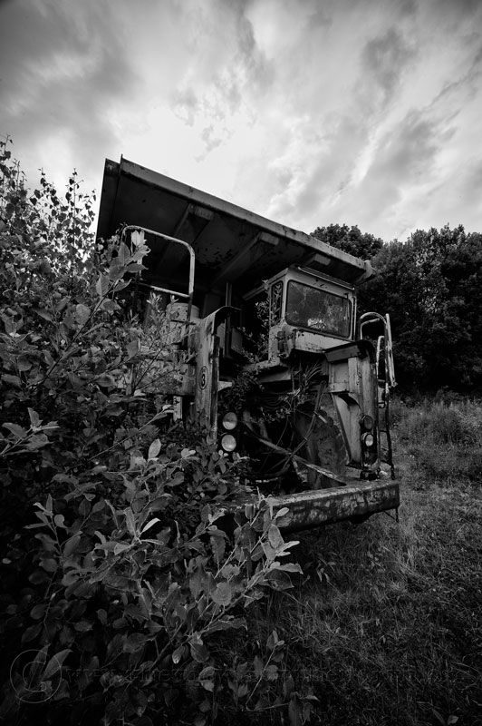 DSC_5588-Edit