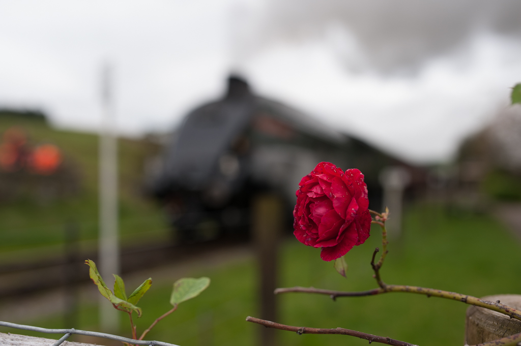 DSC_5052