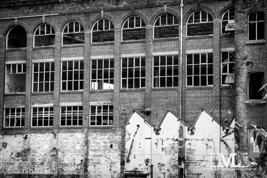 P1010266-Edit