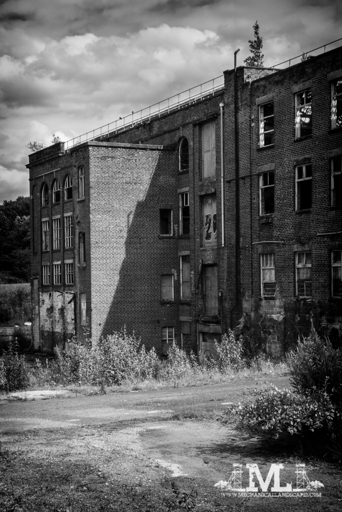 P1010284-Edit