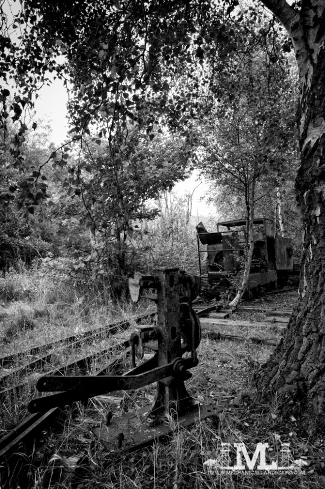 DSC_6385-Edit