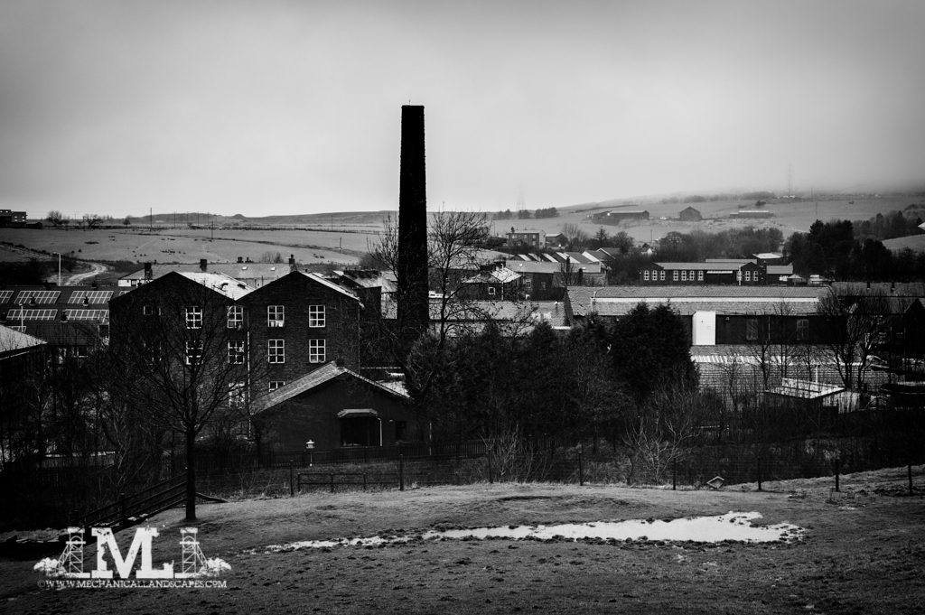 DSC_6614-Edit