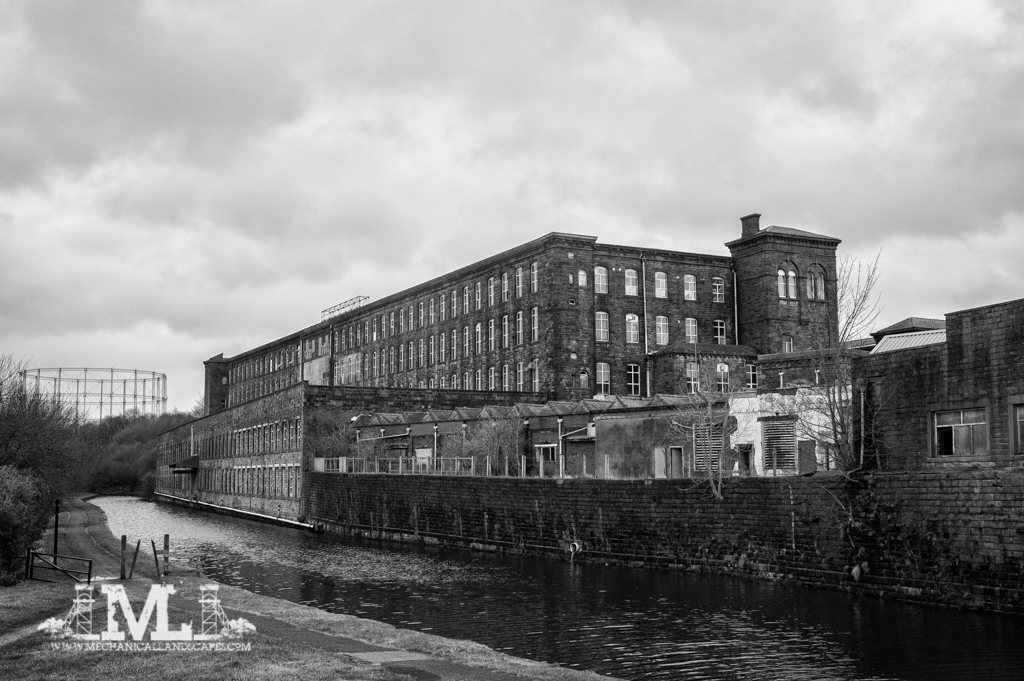 DSC_6594-Edit