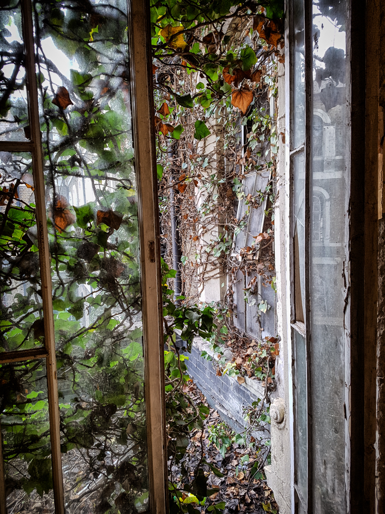 20160311_101619-Edit-15